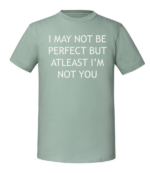Męska koszulka z nadrukiem - I May Not Be Perfect