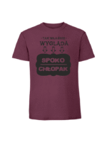 Męska koszulka  z nadrukiem – Tak właśnie wygląda spoko chłopak - obrazek 4