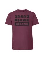Męska koszulka z nadrukiem – zaraz bedzie ciemno - obrazek 3
