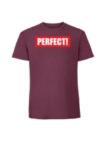 Męska koszulka  z nadrukiem – perfect
