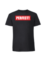 Męska koszulka  z nadrukiem – perfect - obrazek 8