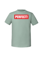 Męska koszulka  z nadrukiem – perfect - obrazek 2