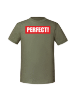 Męska koszulka  z nadrukiem – perfect - obrazek 3