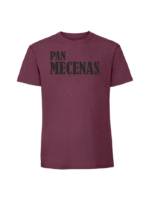 Męska koszulka  z nadrukiem – pan mecenas v1 - obrazek 6