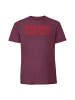 Męska koszulka  z nadrukiem – Stranger Things Friends Dont Lie - obrazek 7