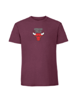Męska koszulka  z nadrukiem – chicago bulls - obrazek 5